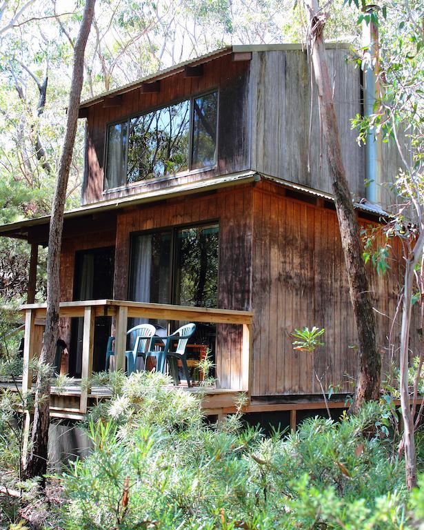 Jemby Rinjah Ecolodge Blackheath Quarto foto